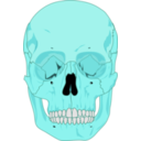 download Human Skull clipart image with 135 hue color