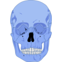 download Human Skull clipart image with 180 hue color