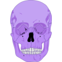 download Human Skull clipart image with 225 hue color