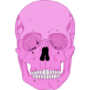 download Human Skull clipart image with 270 hue color