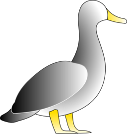 Jonathons Duck
