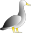 Jonathons Duck