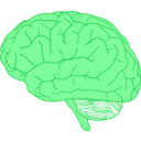 download Brain In Profile clipart image with 135 hue color