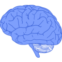 download Brain In Profile clipart image with 225 hue color