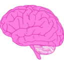 download Brain In Profile clipart image with 315 hue color