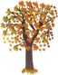 Maple Autumn