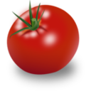 download Tomate clipart image with 0 hue color