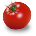 Tomate