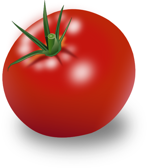 Tomate