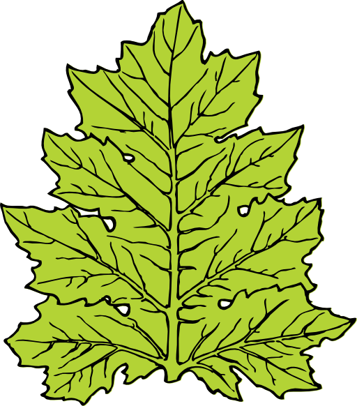 Acanthus Leaf