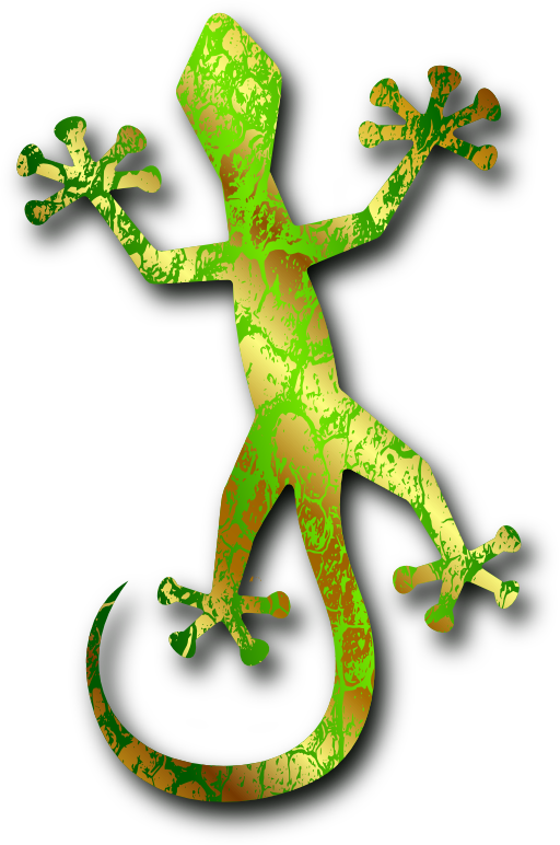 Gecko 3