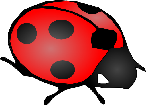 Lady Bug