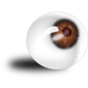 download Eyeball Brown clipart image with 0 hue color