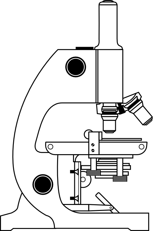 Microscope