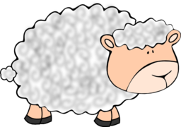 Funny Sheep