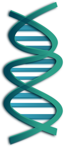 Dna