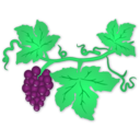 download Grapes clipart image with 45 hue color