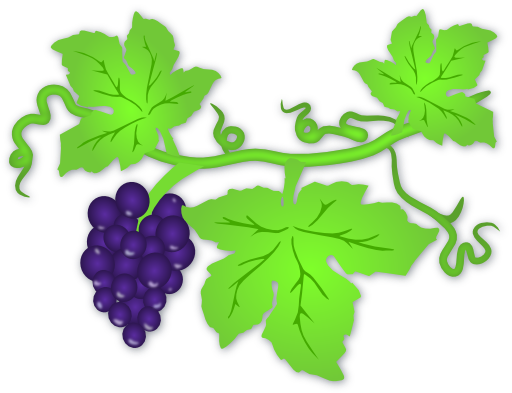 Grapes
