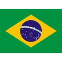 Bandeira Do Brasil Flag Brazil