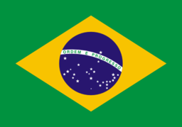 Bandeira Do Brasil Flag Brazil