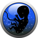 download Human Embryo Silhouette clipart image with 225 hue color
