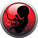 Human Embryo Silhouette