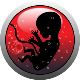 Human Embryo Silhouette