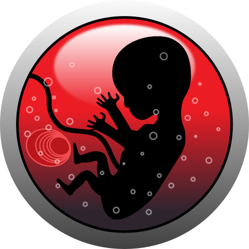 Human Embryo Silhouette