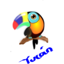 Tucan Colombiano