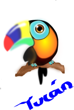 Tucan Colombiano