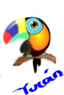 Tucan Colombiano