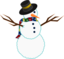 A Scarfed Snowman