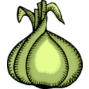 download Onion clipart image with 45 hue color