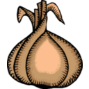 download Onion clipart image with 0 hue color