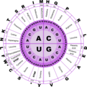 download Genetic Code Rna clipart image with 45 hue color