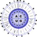 download Genetic Code Rna clipart image with 0 hue color