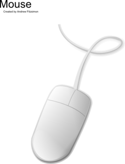 Computer Mouse