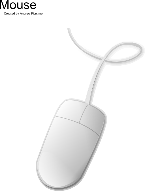 Computer Mouse