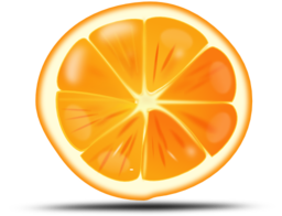 Orange Slice