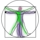 download Vitruvian Man clipart image with 45 hue color