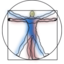 download Vitruvian Man clipart image with 135 hue color