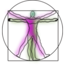 download Vitruvian Man clipart image with 225 hue color