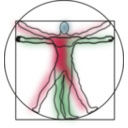 download Vitruvian Man clipart image with 270 hue color