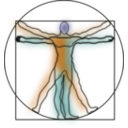 download Vitruvian Man clipart image with 315 hue color