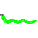 Worm Gusano