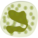 download Eosinophil clipart image with 90 hue color