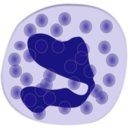 download Eosinophil clipart image with 270 hue color