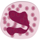 Eosinophil