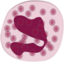 Eosinophil