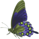 download Butterfly Papilio Philenor Side clipart image with 45 hue color